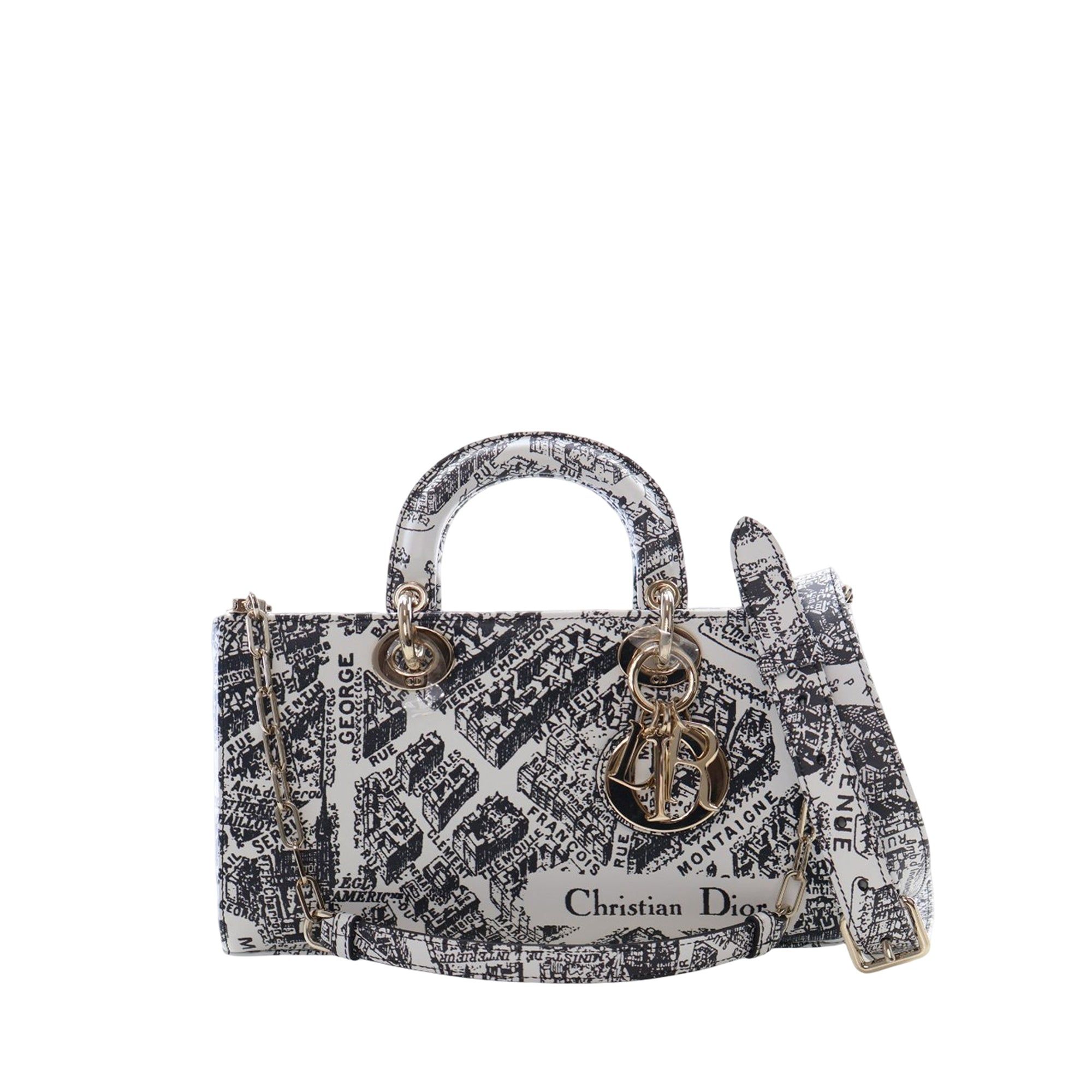 Dior Medium Calfskin Plan De Paris Printed Lady D Joy